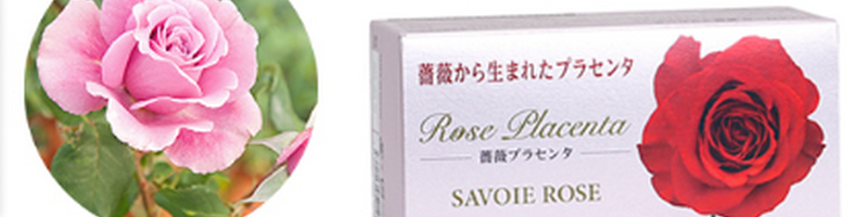 �������̔���ڎw���K�N���e�v���@�Z���T�v���o���I�E���Z���^1���T�C�g